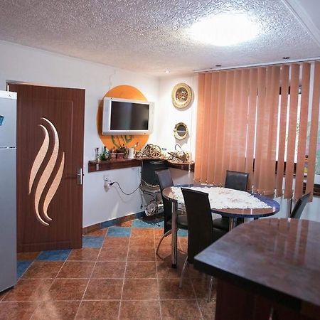 Vila Zeno Braşov Exteriör bild
