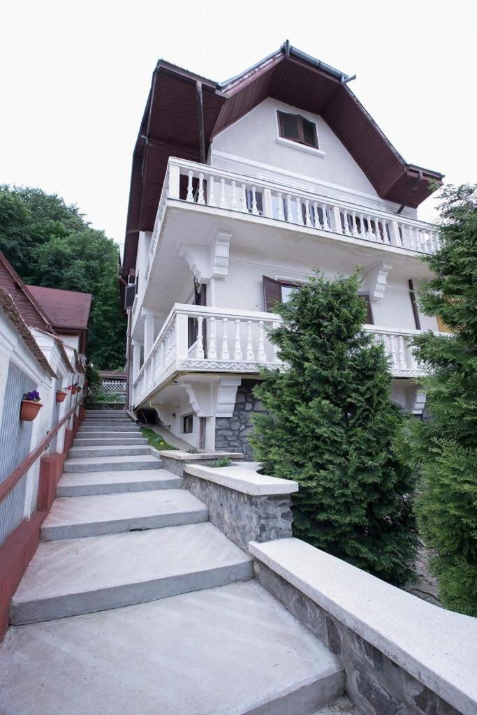 Vila Zeno Braşov Exteriör bild